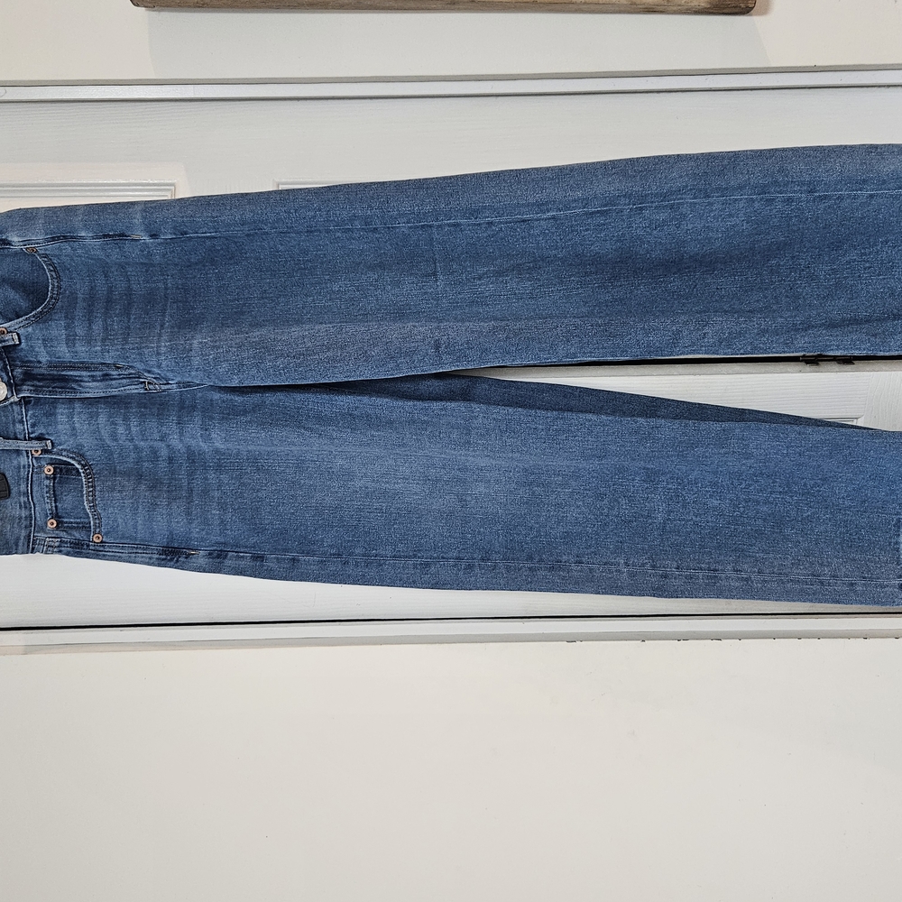 American Eagle Blue Skater Jeans